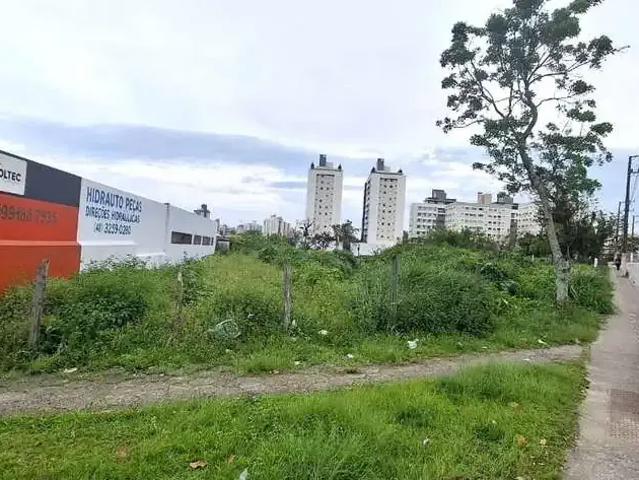 Terreno comercial para Locação em São José/SC Roçado