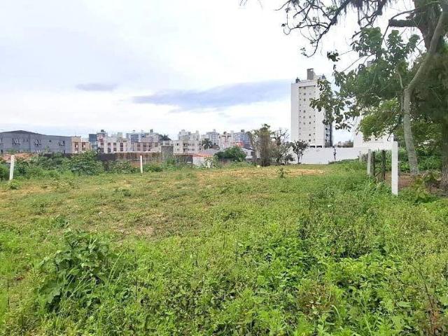 Terreno comercial para Locação em São José/SC Roçado