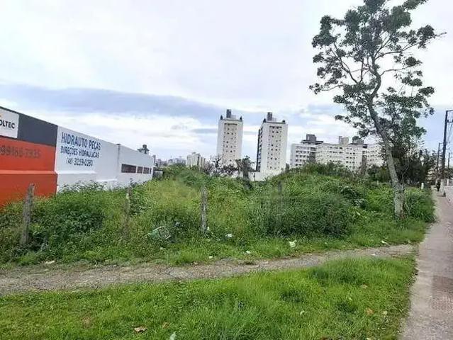 Terreno comercial para Locação em São José/SC Roçado