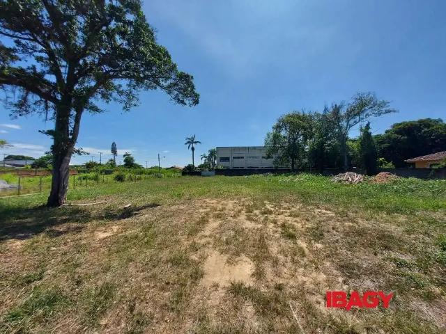 Terreno comercial para Locação em São José/SC Serraria
