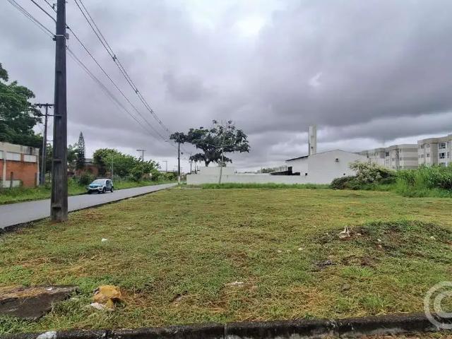 Terreno comercial para Locação em São José/SC Sertão do Maruim