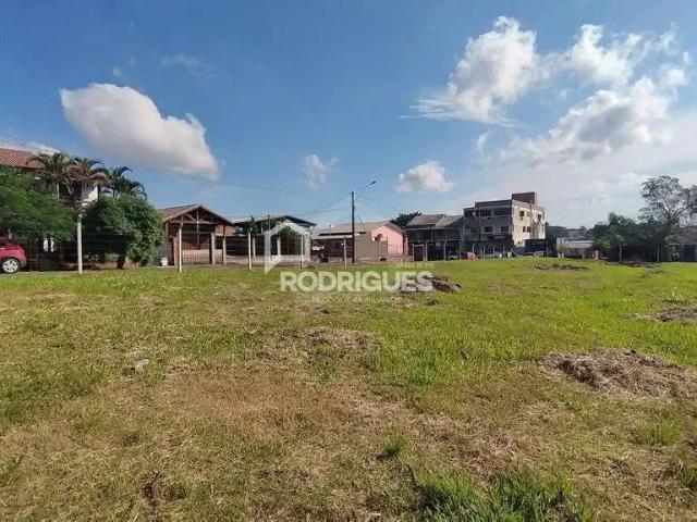 Terreno comercial para Locação em São Leopoldo/RS Campestre
