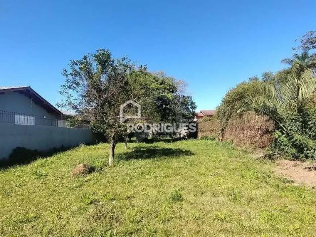 Terreno comercial para Locação em São Leopoldo/RS Pinheiro