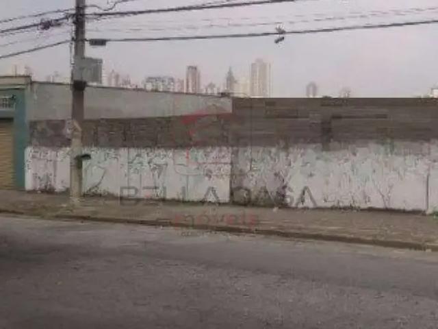 Terreno comercial para Locação em São Paulo/SP Tatuapé