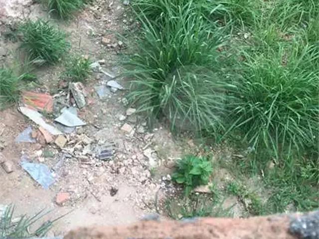 Terreno comercial para Locação em São Paulo/SP Tucuruvi
