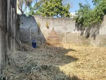 Terreno comercial para Locação em São Paulo/SP Vila Mafra