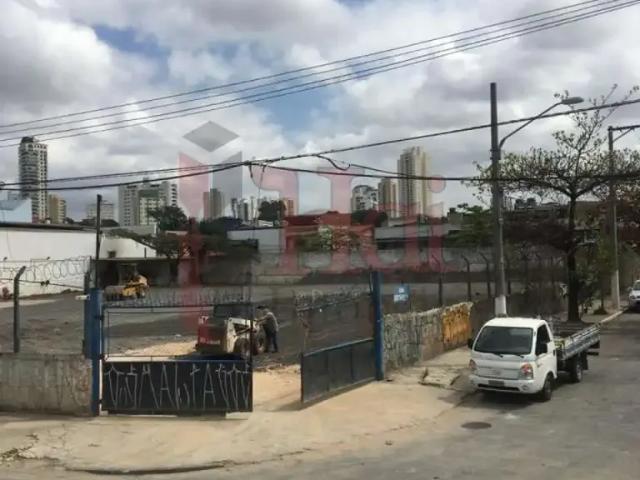 Terreno comercial para Locação em São Paulo/SP Vila Maria