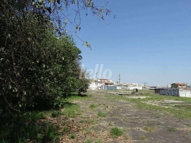 Terreno comercial para Locação em São Paulo/SP Vila Nova Pauliceia