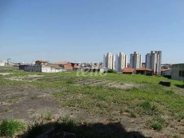 Terreno comercial para Locação em São Paulo/SP Vila Nova Pauliceia