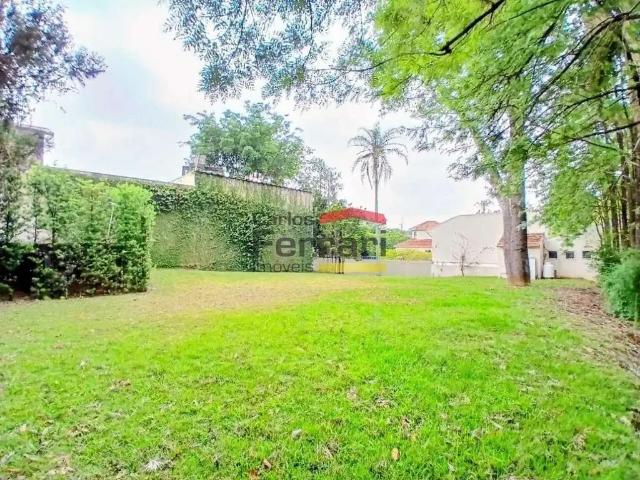 Terreno comercial para Locação em São Paulo/SP Vila Albertina