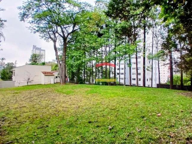 Terreno comercial para Locação em São Paulo/SP Vila Albertina