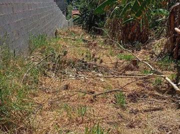 Terreno comercial para Locação em São Paulo/SP Vila Cachoeira