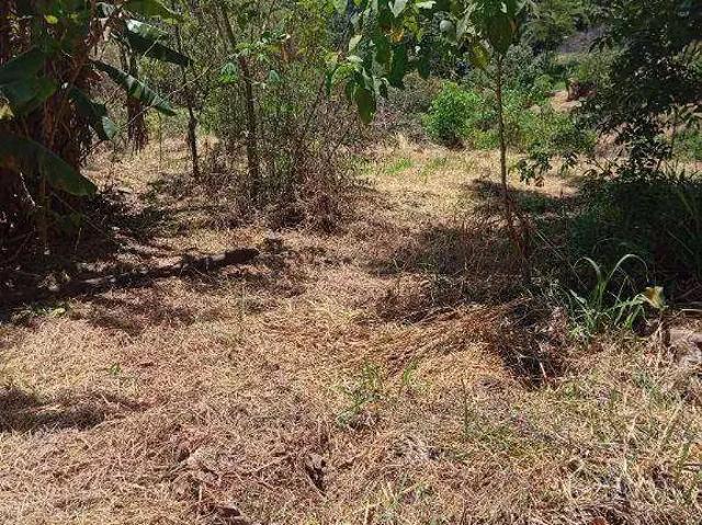 Terreno comercial para Locação em São Paulo/SP Vila Cachoeira
