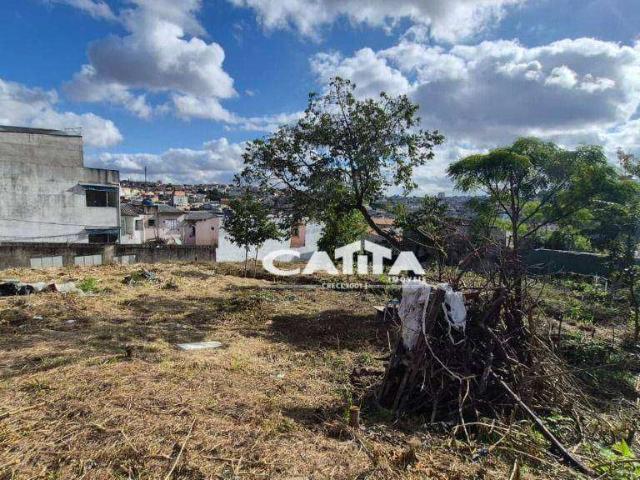 Terreno comercial para Locação em São Paulo/SP Vila Carmosina