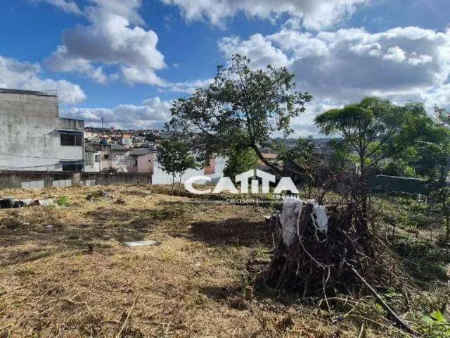 Terreno comercial para Locação em São Paulo/SP Vila Carmosina