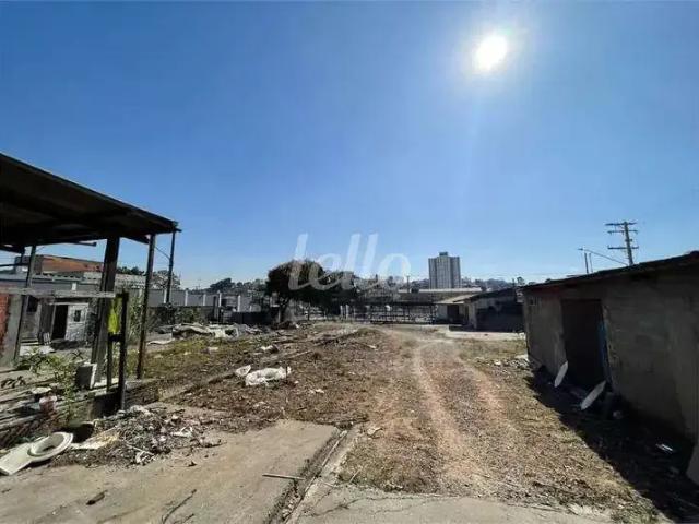 Terreno comercial para Locação em São Paulo/SP Vila Carrão