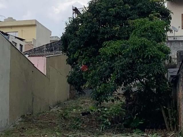 Terreno comercial para Locação em São Paulo/SP Vila Carrão