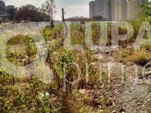 Terreno comercial para Locação em São Paulo/SP Vila Jaraguá