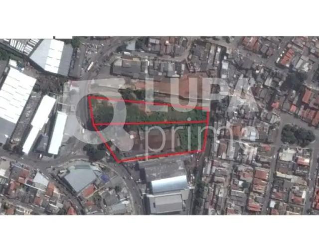 Terreno comercial para Locação em São Paulo/SP Vila Jaraguá