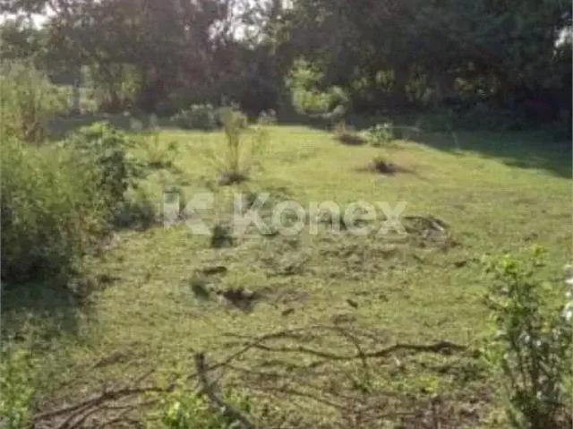Terreno comercial para Locação em São Paulo/SP Vila João Batista