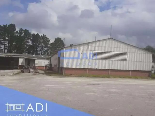 Terreno comercial para Locação em São Paulo/SP Vila Sulina