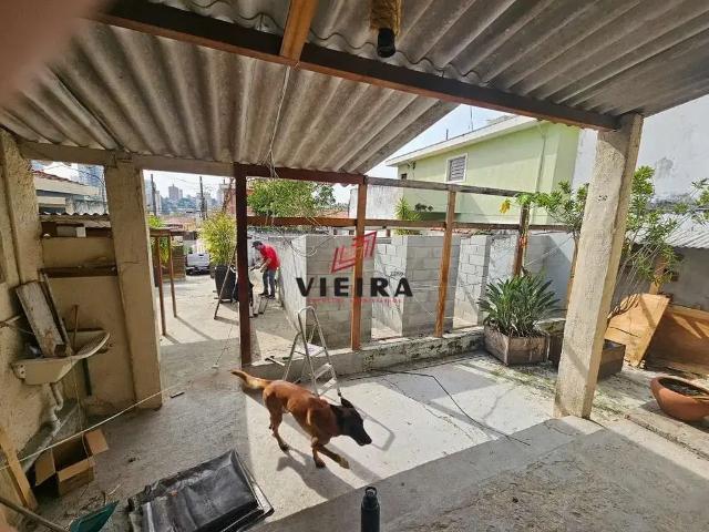 Terreno comercial para Locação em São Paulo/SP Vila São Paulo