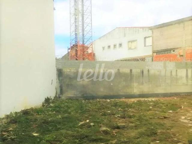 Terreno comercial para Locação em São Paulo/SP Cidade Patriarca