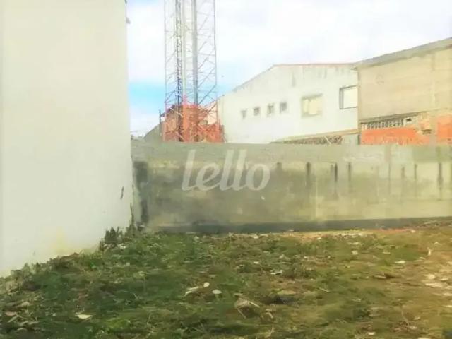 Terreno comercial para Locação em São Paulo/SP Cidade Patriarca