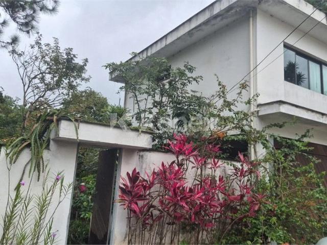 Terreno comercial para Locação em São Paulo/SP Horto Florestal