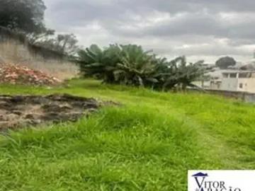Terreno comercial para Locação em São Paulo/SP Imirim