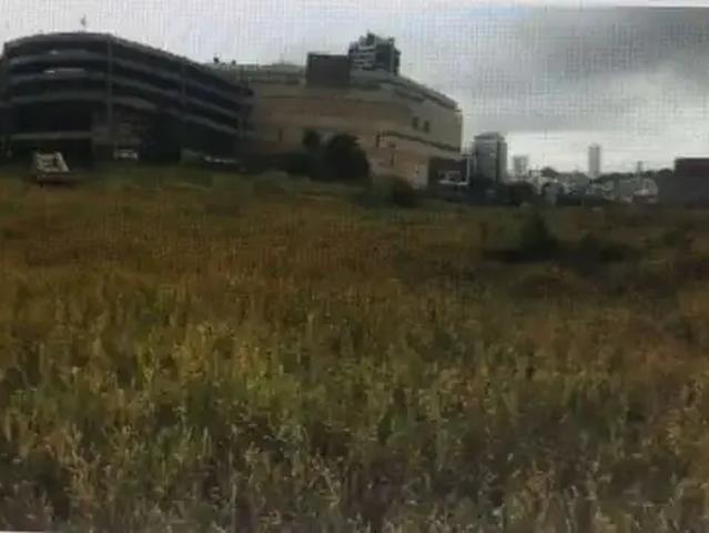 Terreno comercial para Locação em São Paulo/SP Jardim Anália Franco