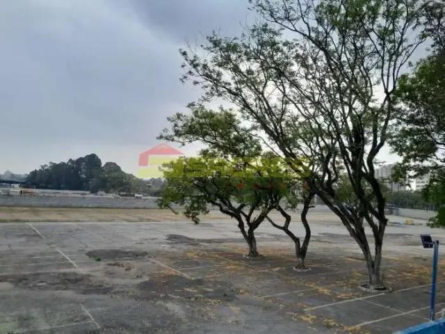 Terreno comercial para Locação em São Paulo/SP Jardim Guanca