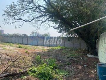 Terreno comercial para Locação em São Paulo/SP Jardim Independência