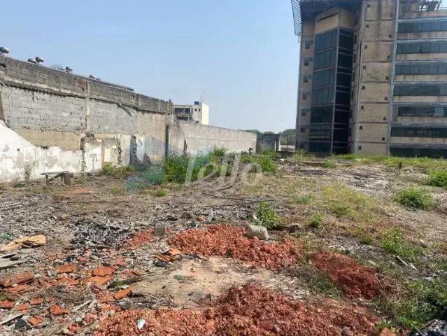 Terreno comercial para Locação em São Paulo/SP Jardim Independência