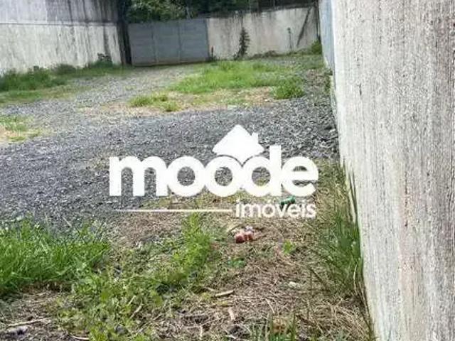 Terreno comercial para Locação em São Paulo/SP Morumbi