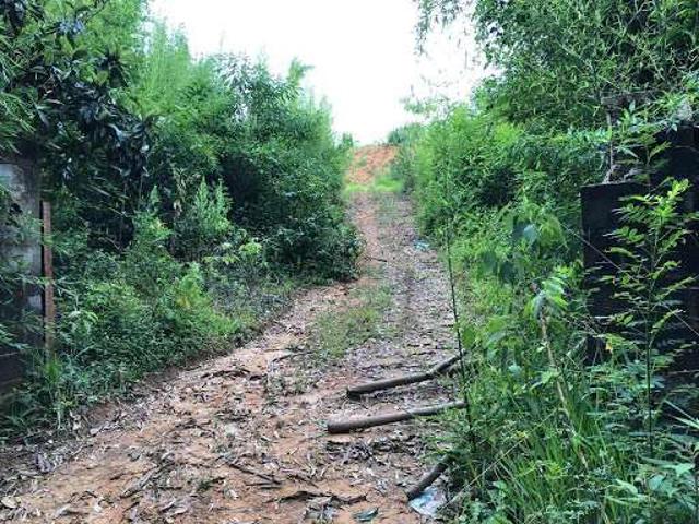Terreno comercial para Locação em São Roque/SP Saboó