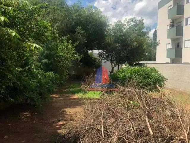 Terreno comercial para Locação em Santa Bárbara D'Oeste/SP Vila Dainese