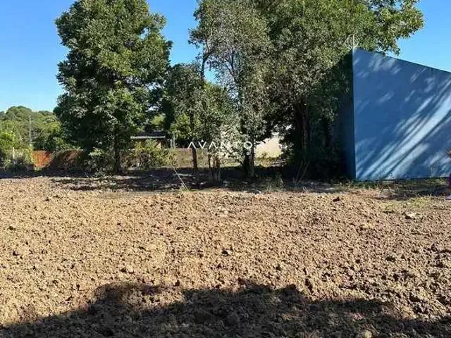 Terreno comercial para Locação em Santa Maria/RS Nossa Senhora do Perpétuo Socorro