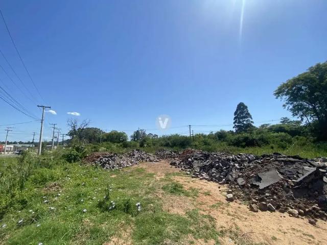 Terreno comercial para Locação em Santa Maria/RS Lorenzi