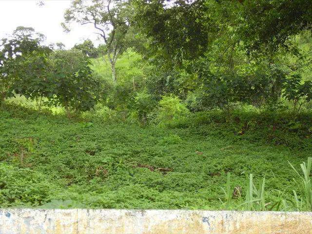 Terreno comercial para Locação em Santana de Parnaíba/SP Jardim Parnaíba
