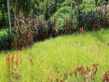Terreno comercial para Locação em Santana de Parnaíba/SP Voturuna