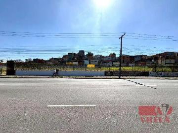 Terreno comercial para Locação em Santo André/SP Parque Jaçatuba