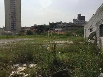 Terreno comercial para Locação em Santo André/SP Vila Lucinda
