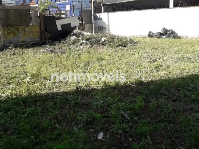 Terreno comercial para Locação em Santos/SP Encruzilhada