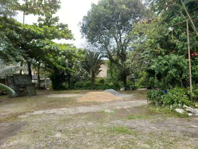 Terreno comercial para Locação em Santos/SP Morro Nova Cintra