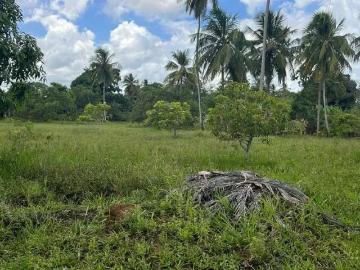 Terreno comercial para Locação em Salvador/BA Cassange