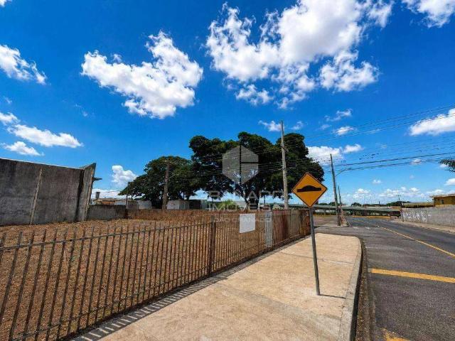 Terreno comercial para Locação em Sarandi/PR Jardim Independência