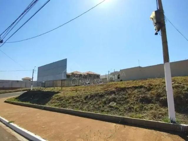 Terreno comercial para Locação em Sertãozinho/SP Cidade Jardim