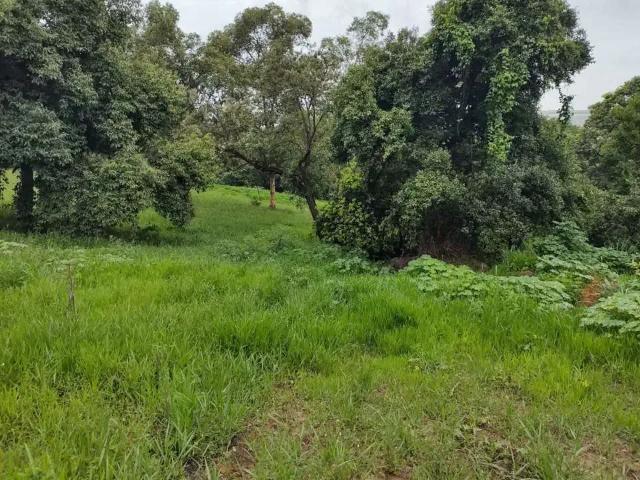 Terreno comercial para Locação em Sorocaba/SP Iporanga