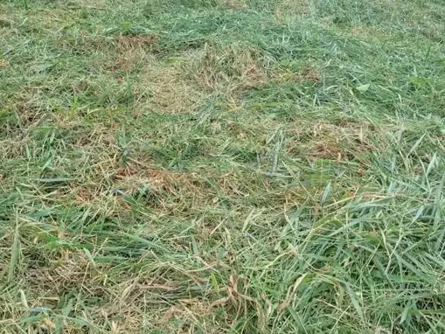 Terreno comercial para Locação em Sorocaba/SP Jardim Piazza di Roma